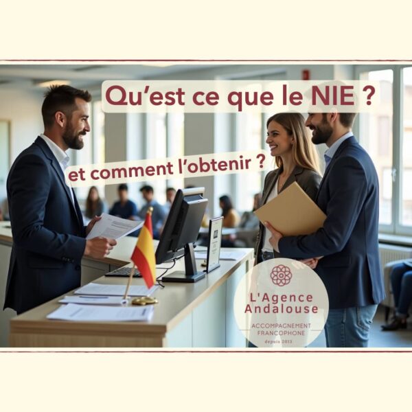 qu'est ce que le nie ?.001
