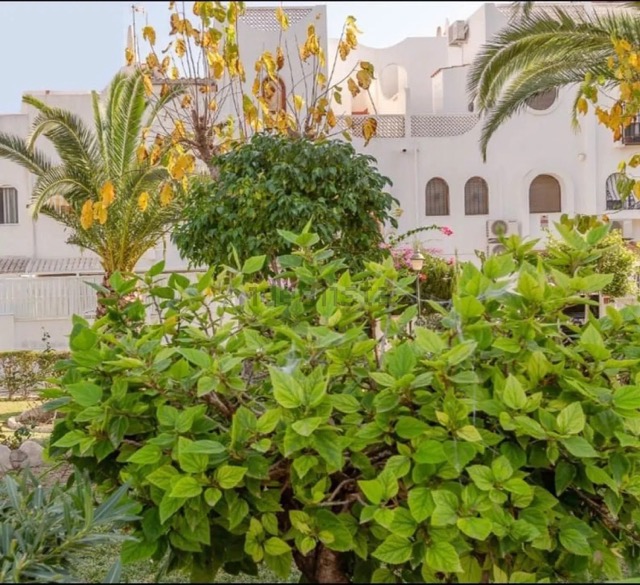 1285967903 moyenne
