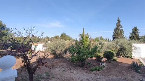 3228566734