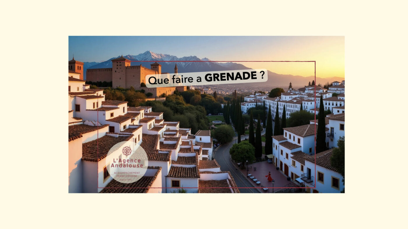 que faire a grenade .001
