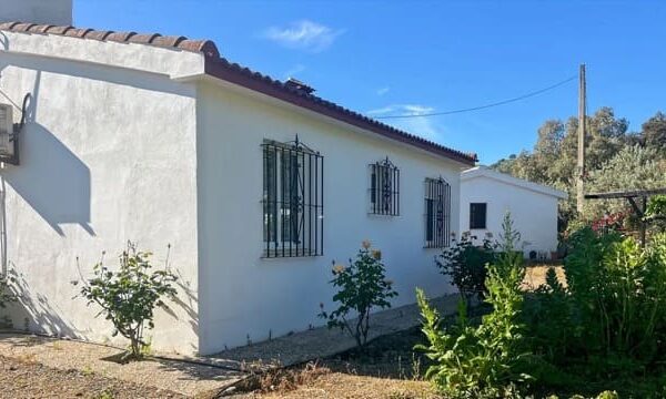 Finca 2 maisons indépendantes