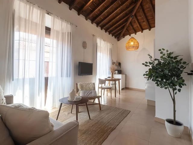 Atico malaga séjour lumineux